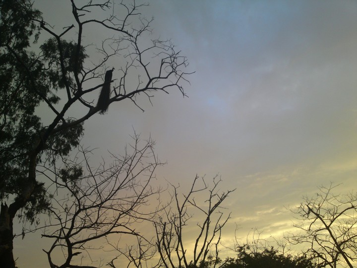 sunset autumn