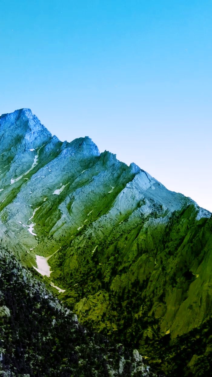 Monte