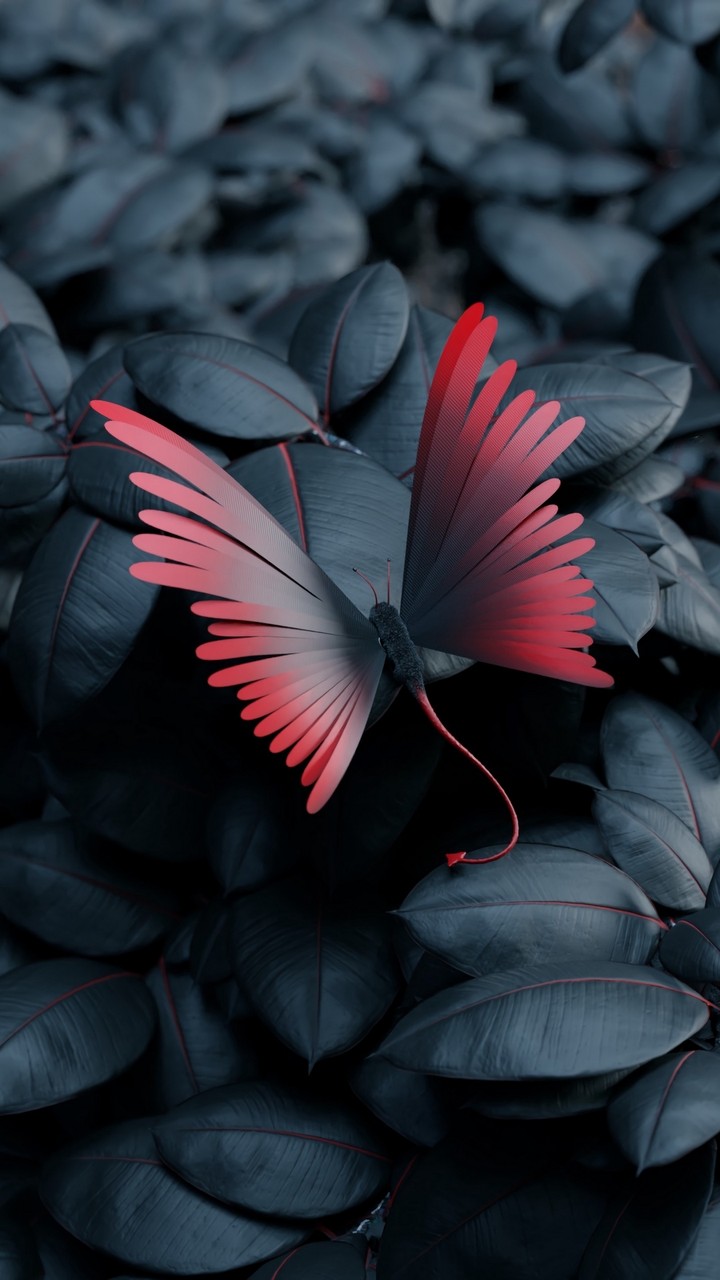 Red Buterfly