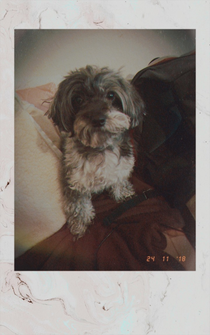 Lily