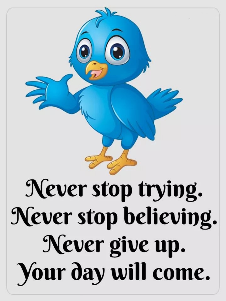 Never Stop