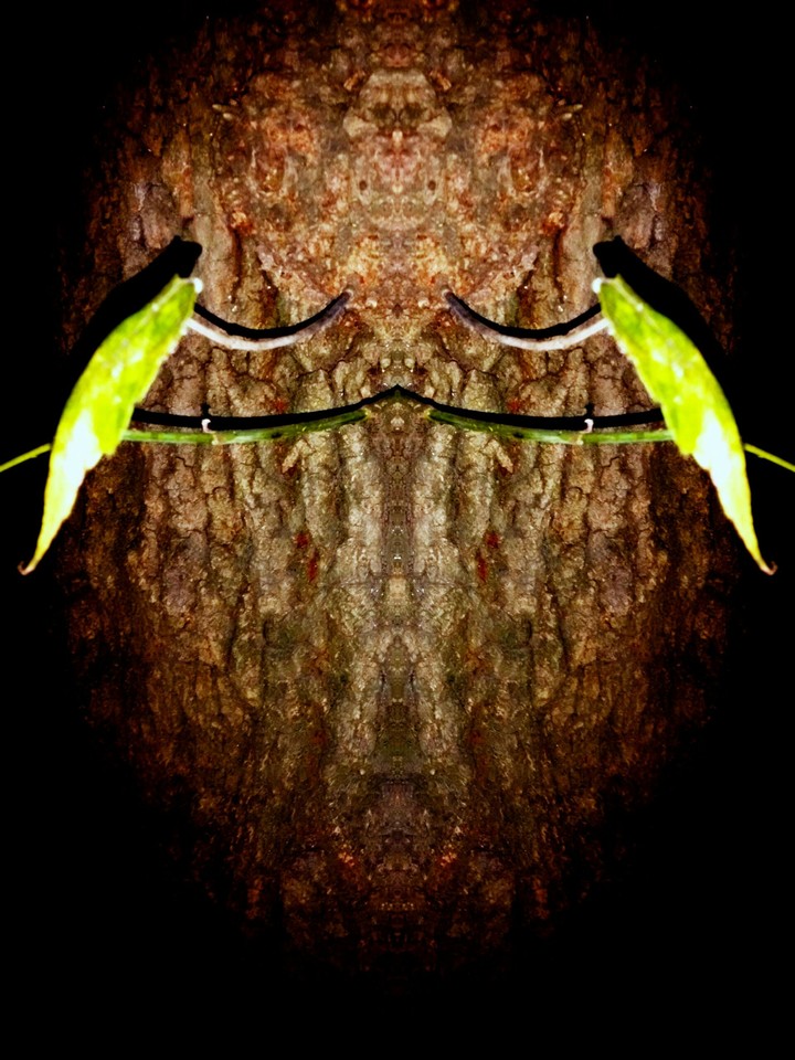 Elemental