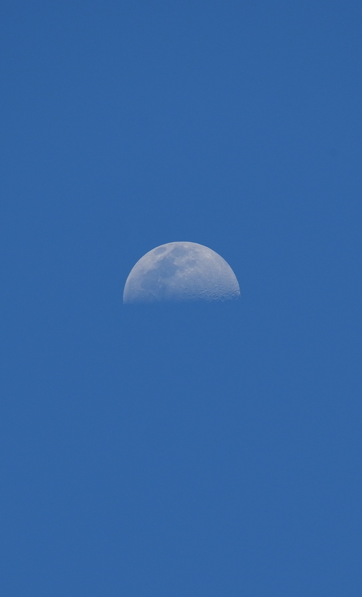 moon