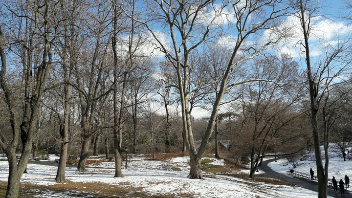 central park