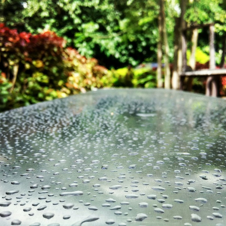 Rain' beauty