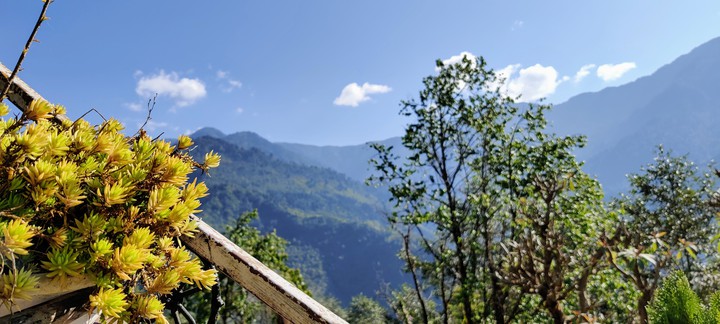Mountain