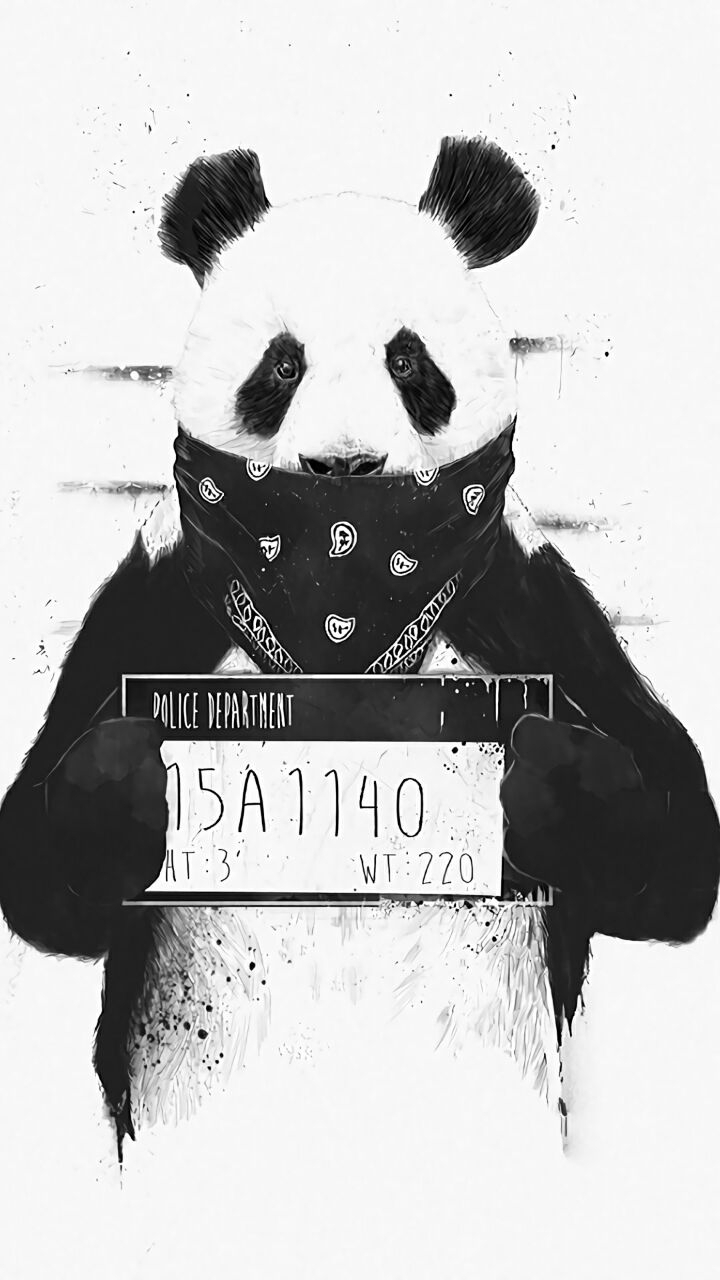 bad panda