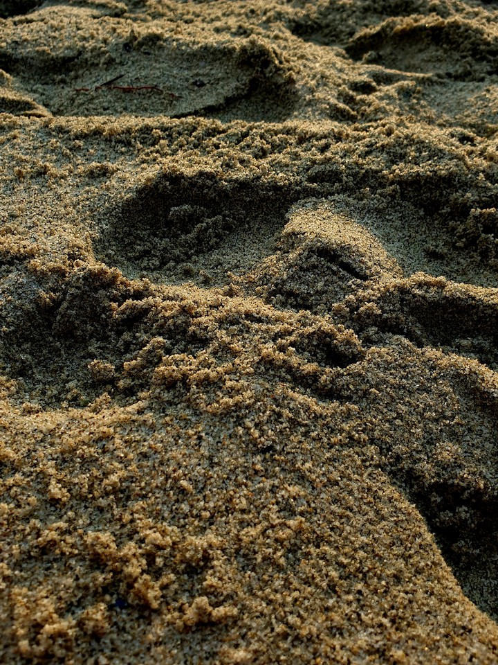 SAND
