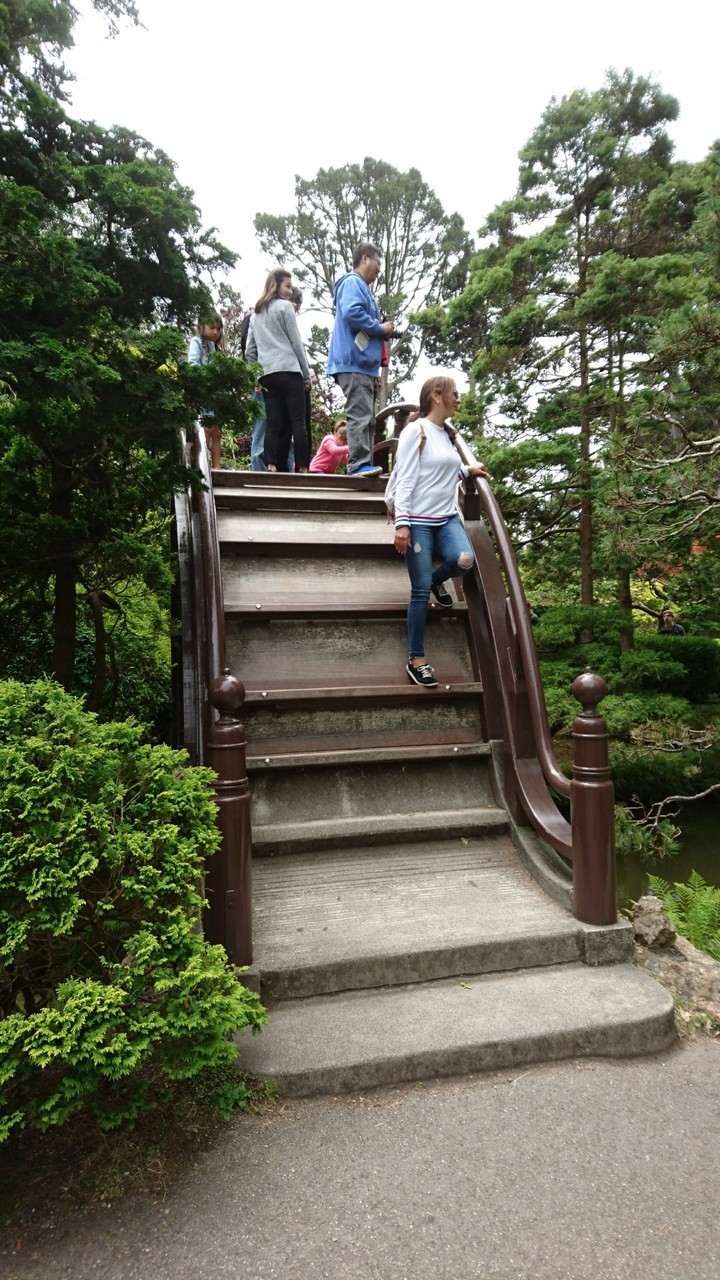 The High Bridge