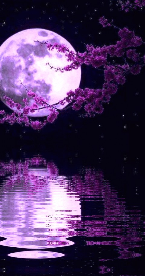 тапети moon, violet