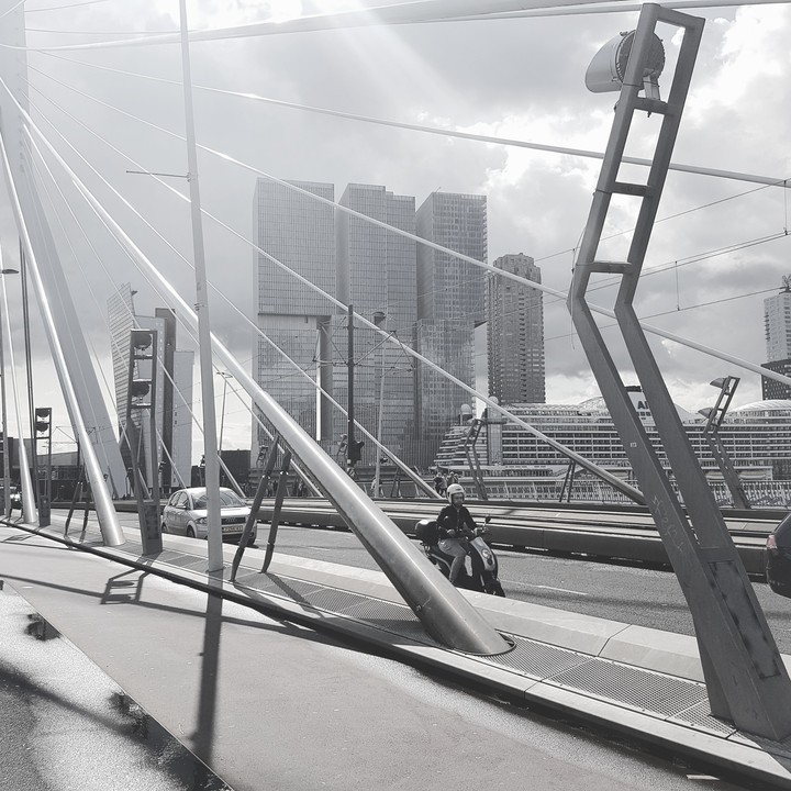 Rotterdam