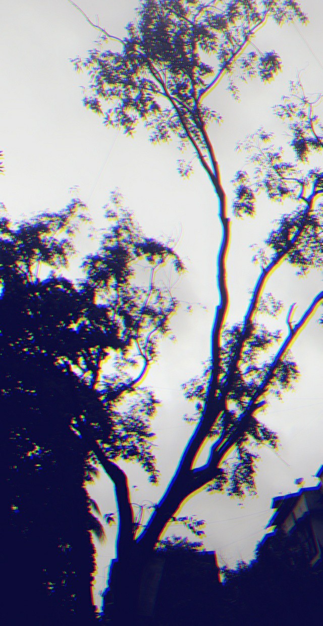 glitch nature