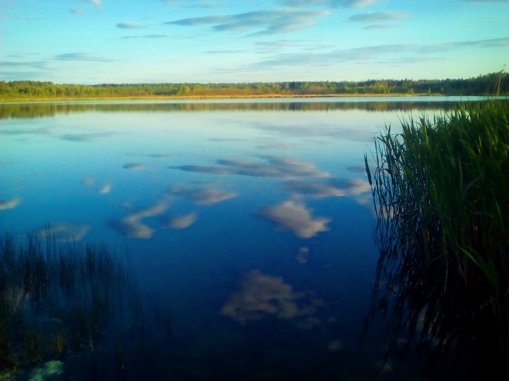 #lake #sky #blue #forest