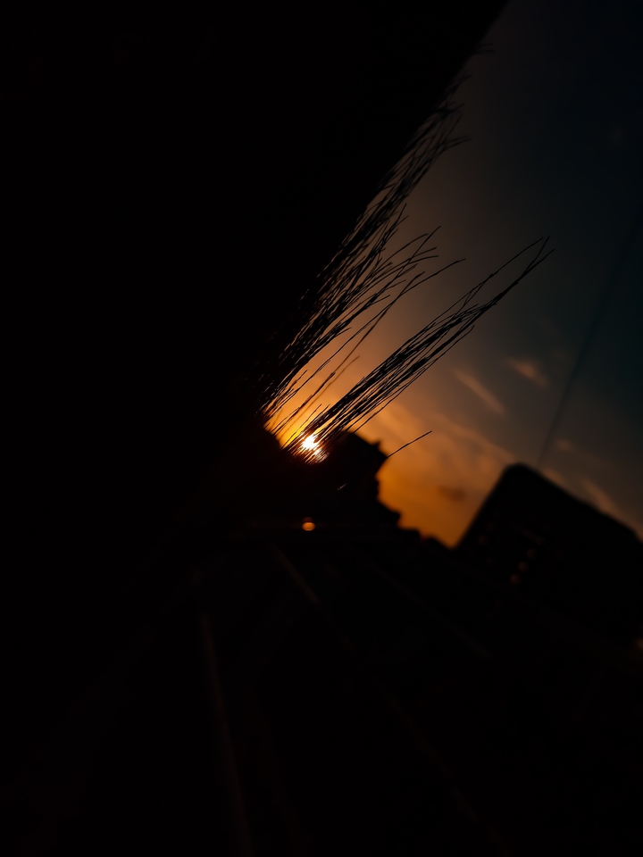 evening