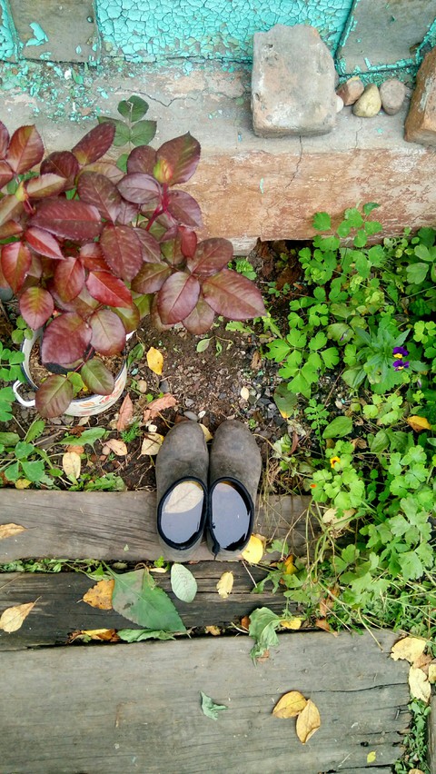 country life