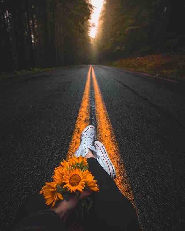 flores