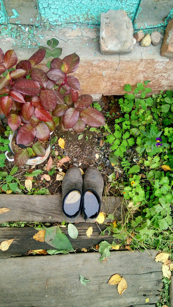 country life
