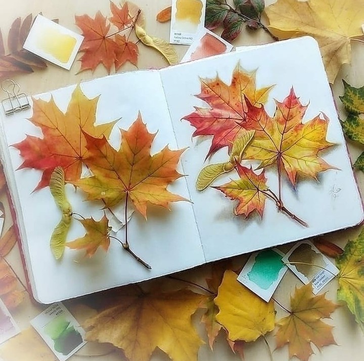 #autumn