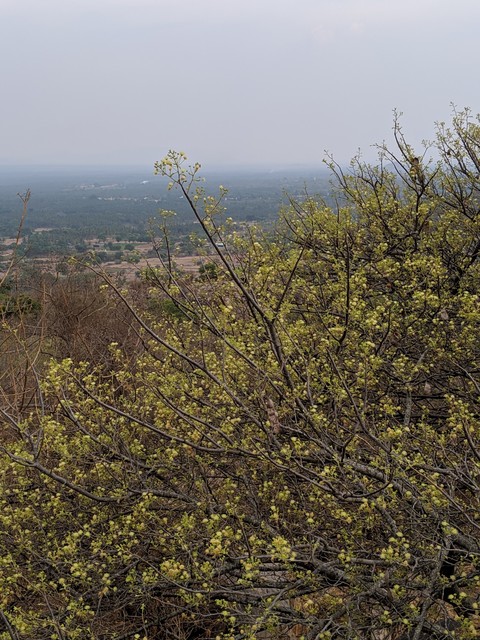 hill station