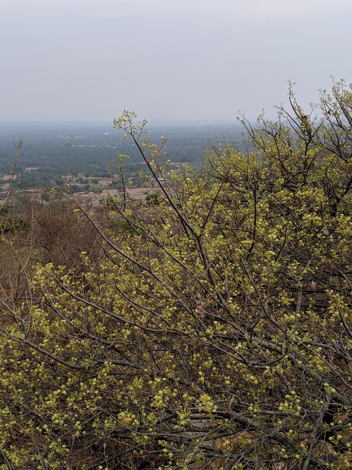 hill station
