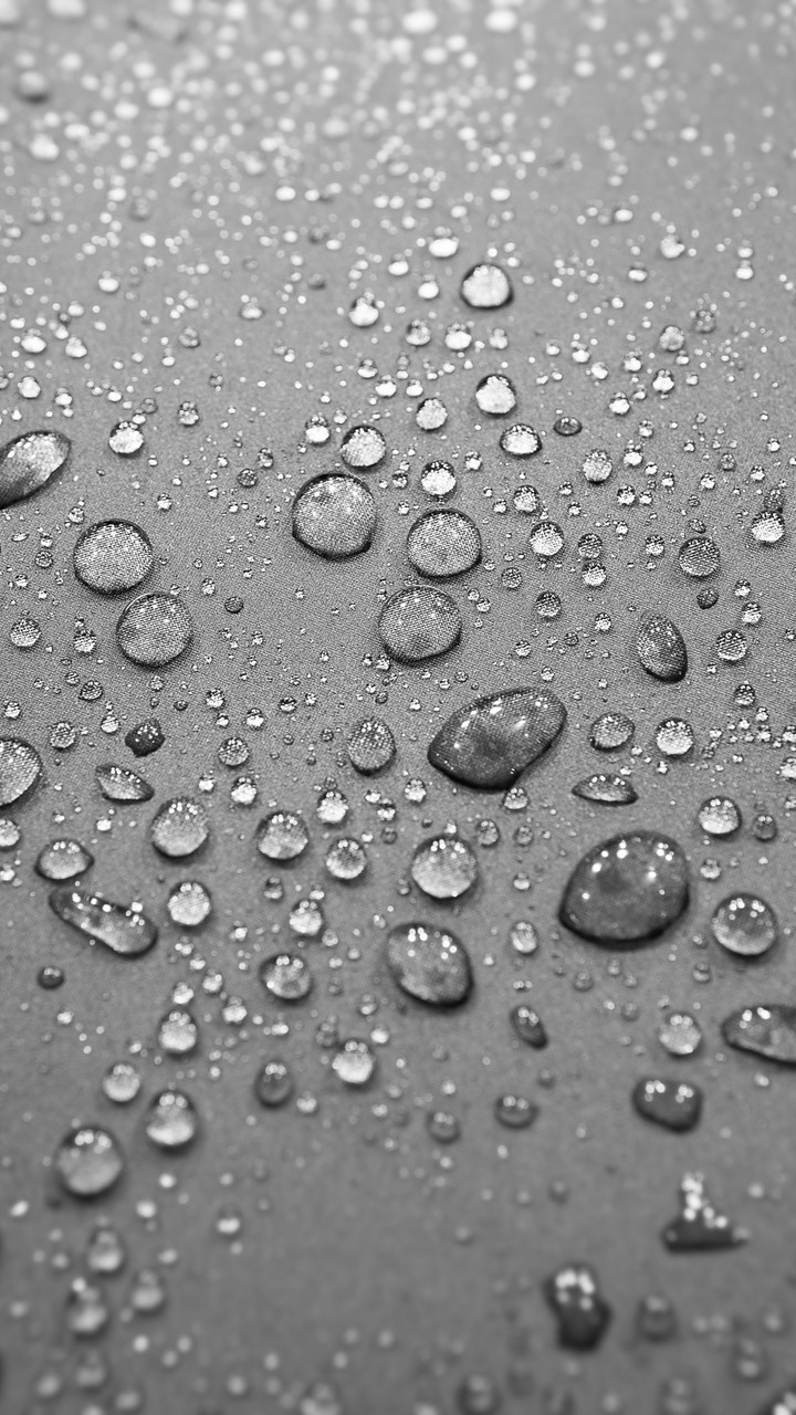 Rain Drops