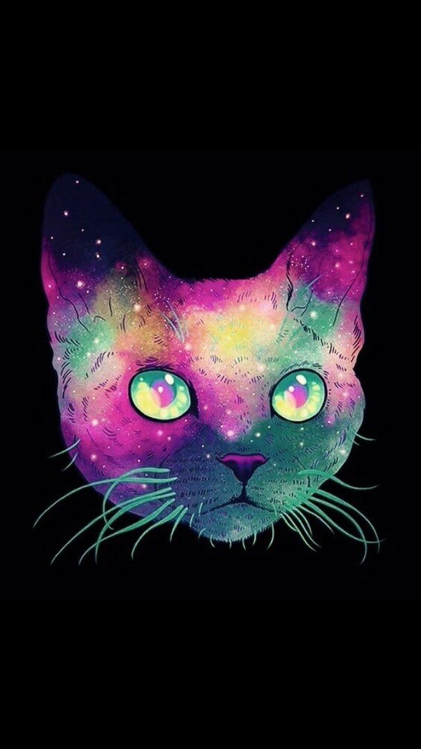 Galaxy cat