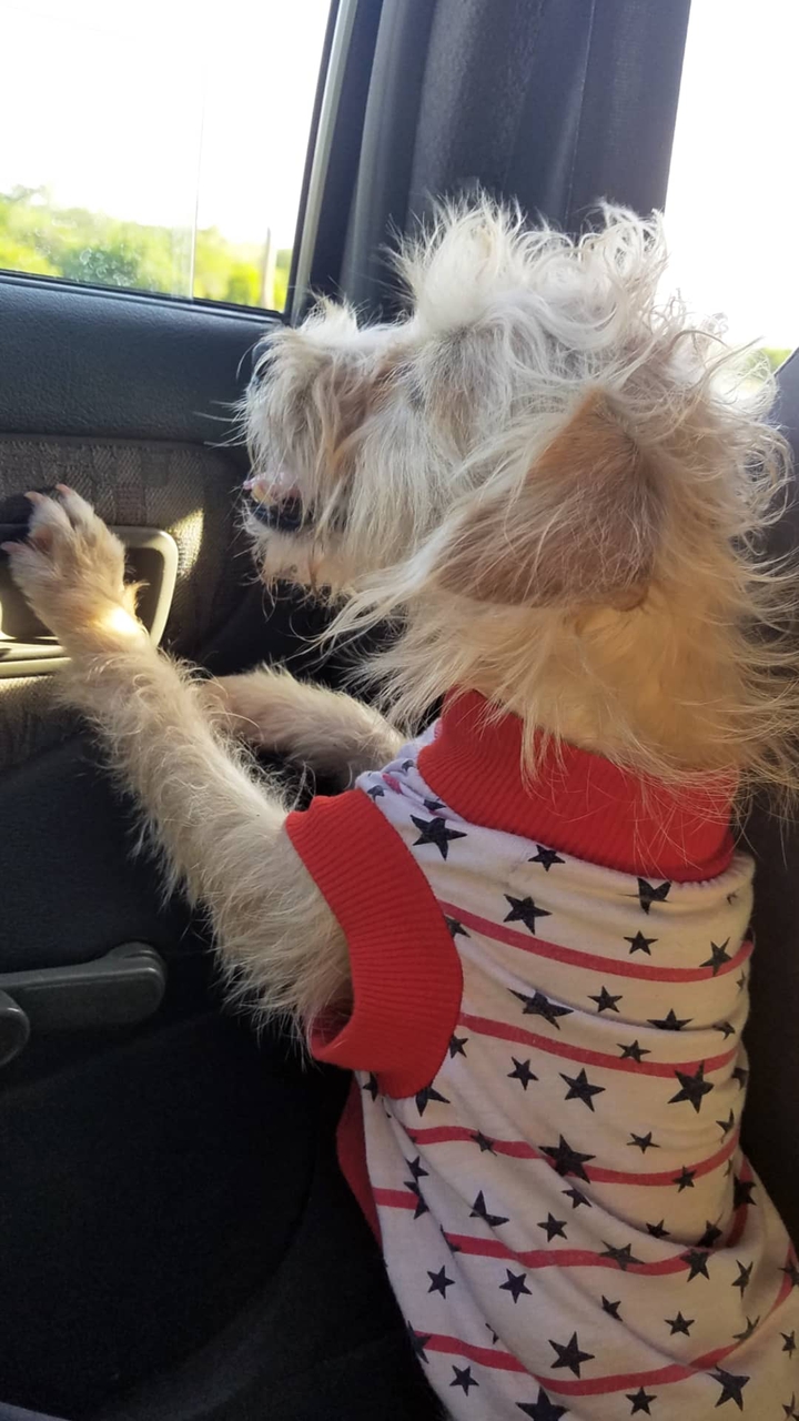 Audrey...