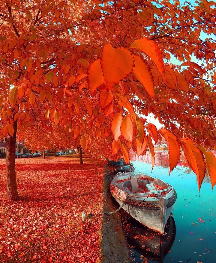 Осень
