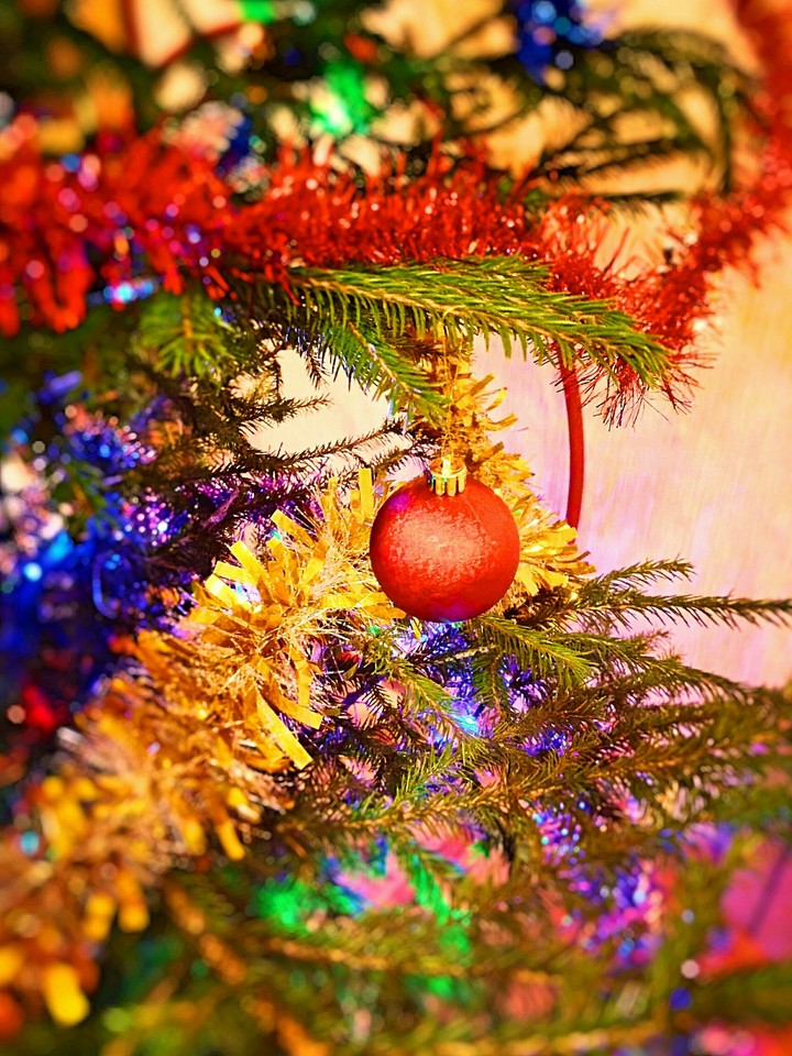 Merry Christmas ❤❤❤