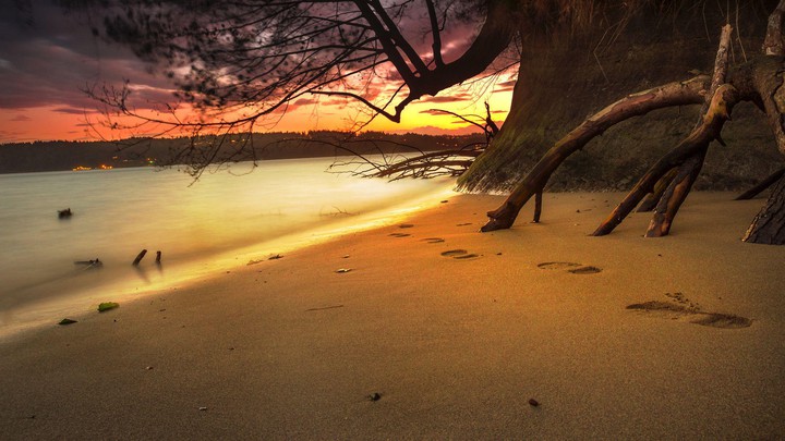 footprints