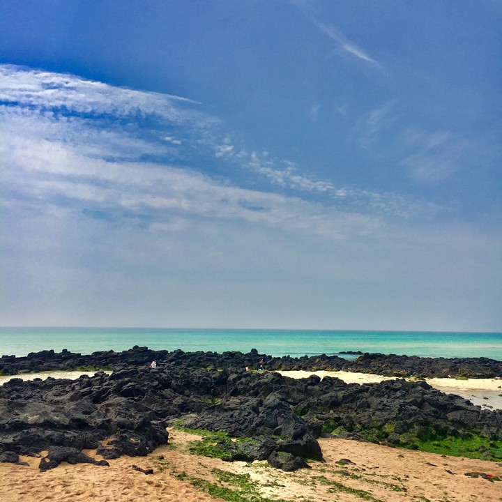 제주도 바다