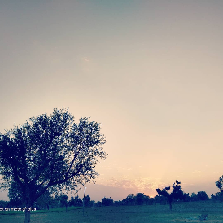 sunrise