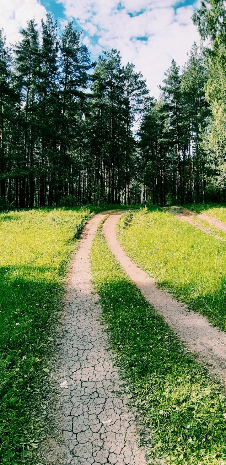 дорога