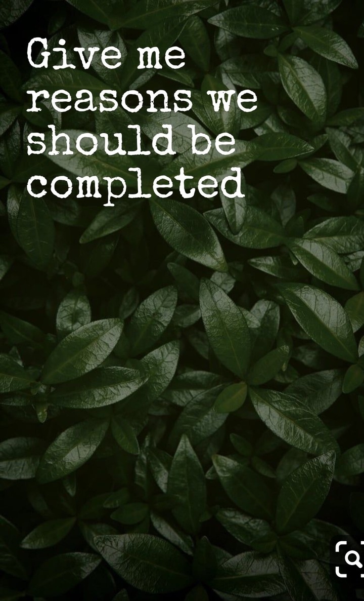 Leaves and quote