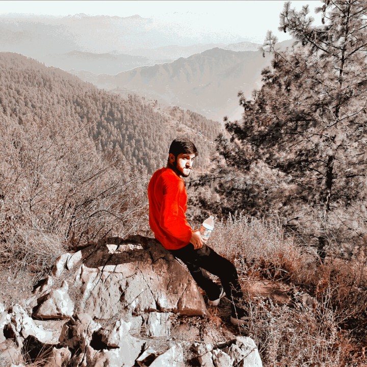 love to live in nature