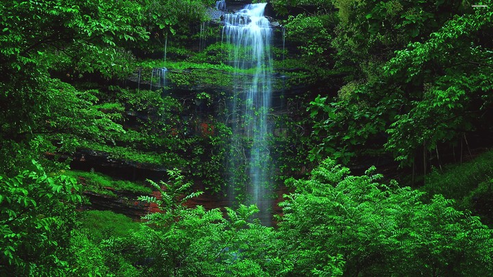 nature