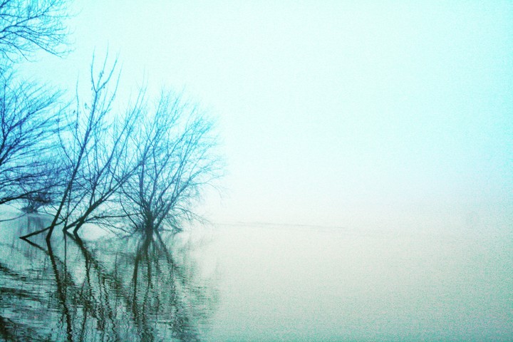 The foggy world.