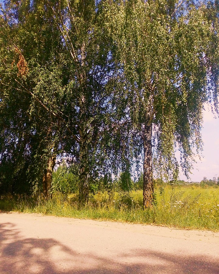 Nature.
