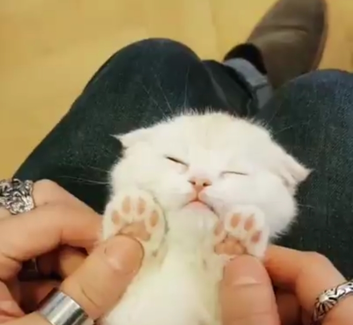 let him sleeeeep..