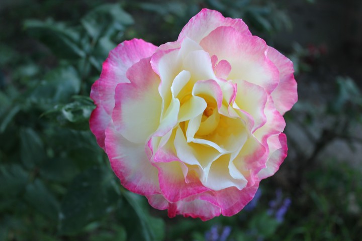 For You, for Me, for every Girl on the planet ;-)