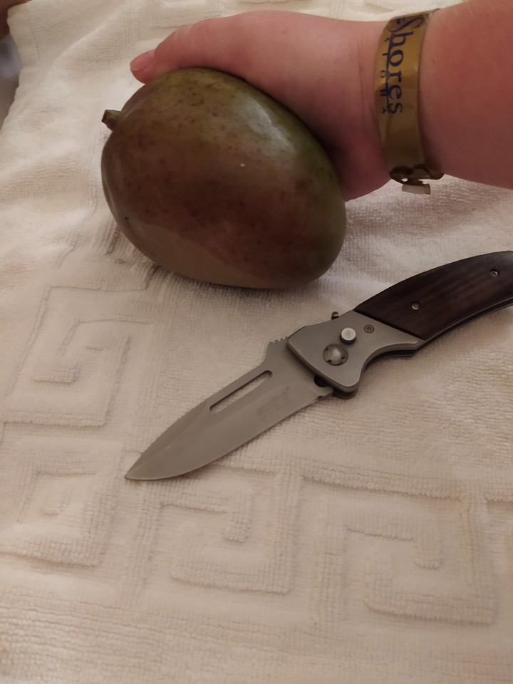Mango