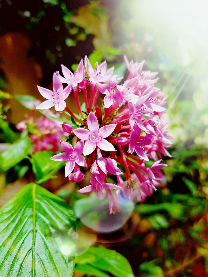 nature's gift
