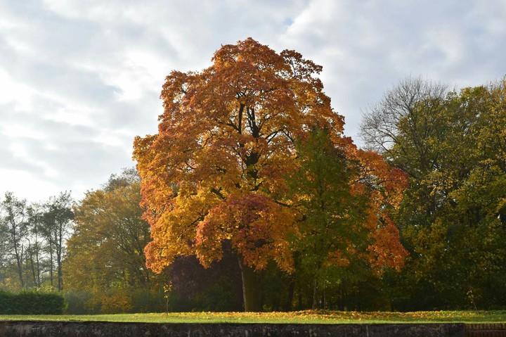 Poland Autumn