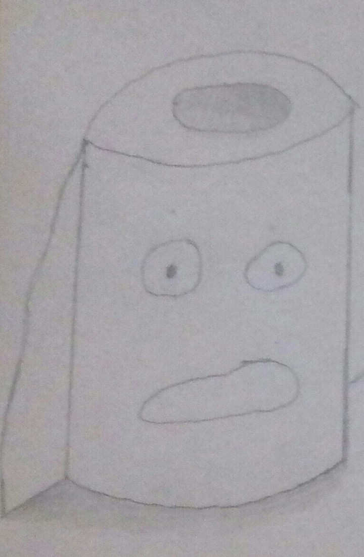 Toilet paper 8D