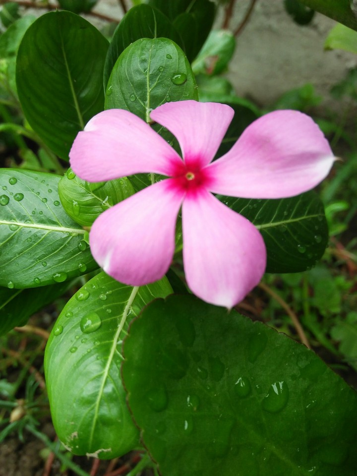 #Nature