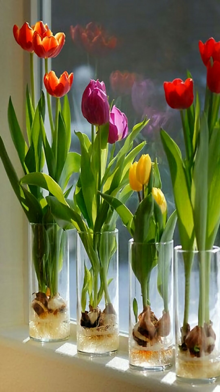flowersz