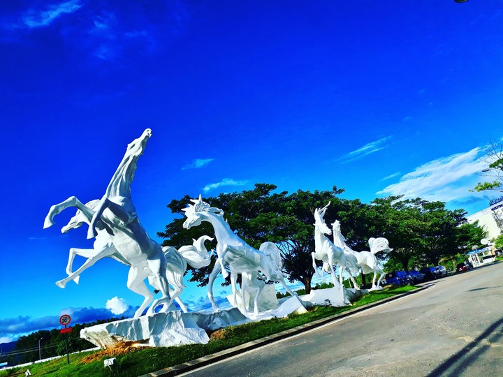 white horse
