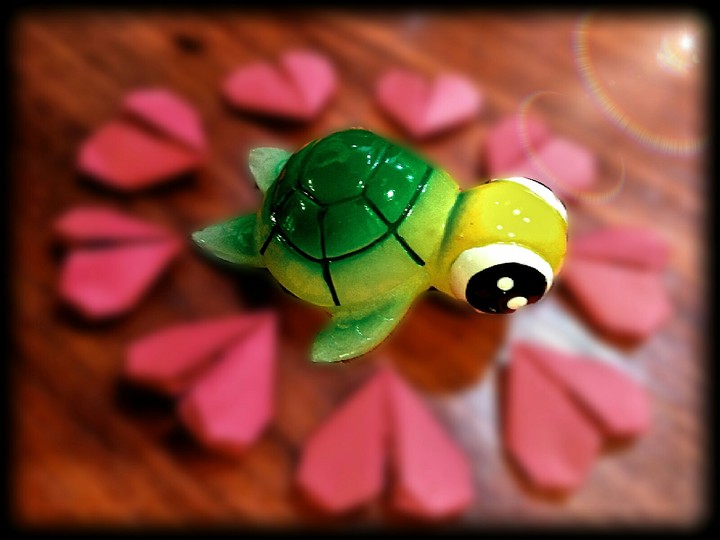 love
