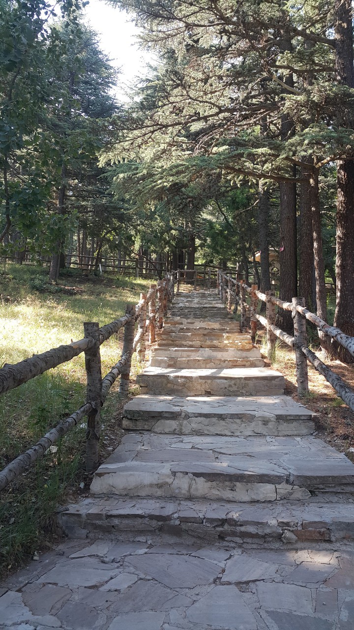 doğa yürüyüşü