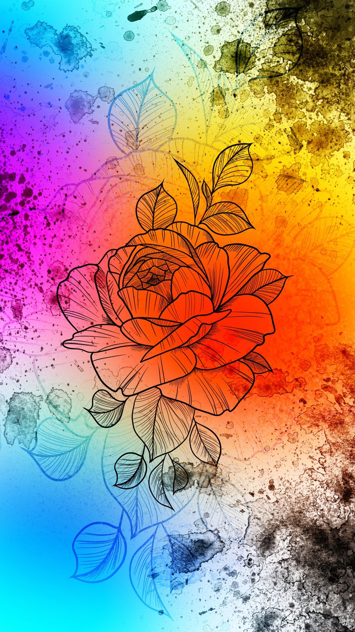 Rainbow rose